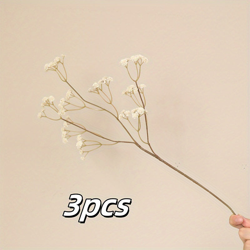 3pcs, Youngsters&