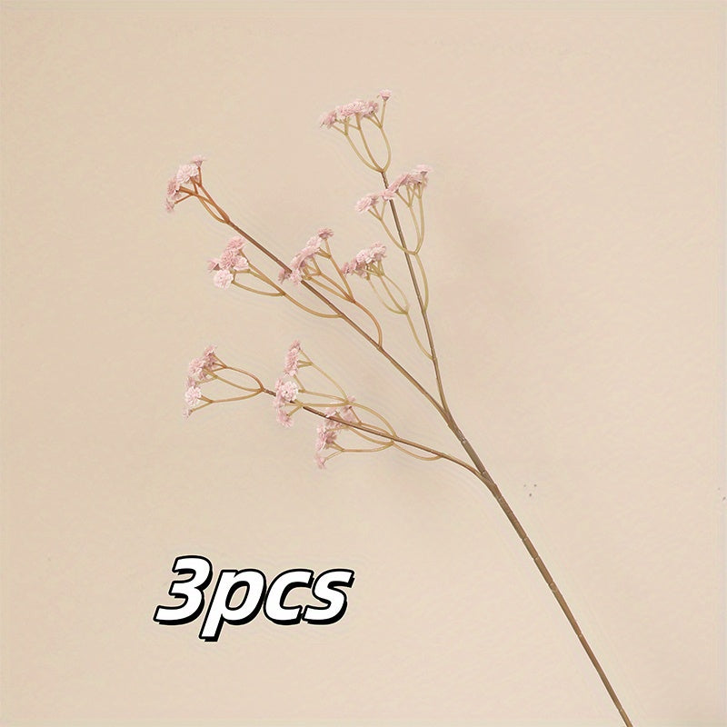 3pcs, Youngsters&