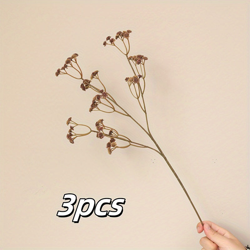 3pcs, Youngsters&