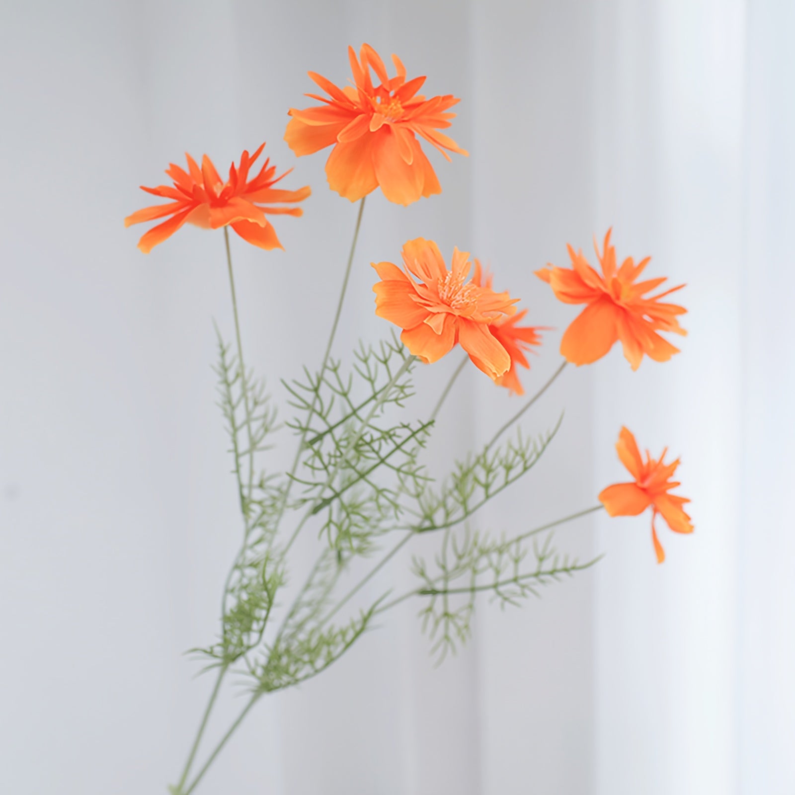 1pc MOHUAGE Classic Style 6-Head Flocked Cosmos Artificial Flowers, Versatile Plastic Floral Arrangement, with Suitable for Spring, Christmas, Halloween, Easter, Hanukkah, Thanksgiving, Valentine&