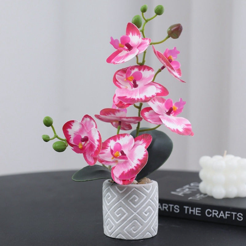 Vibrant 11" Artificial Phalaenopsis Orchid Bonsai - Perfect for Home & Office Decor, Table Centerpieces | Ideal for Christmas, Valentine&