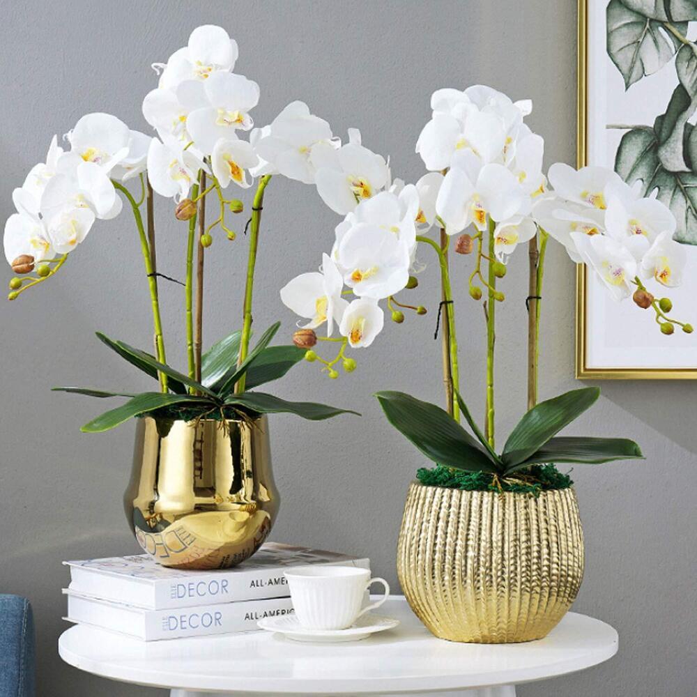 3pcs Evergreen Phalaenopsis Orchid Artificial Leaves and Flowers, Plastic Faux Plant Decor for Home, Desk, Vase - Ideal for Get Well, Valentine&